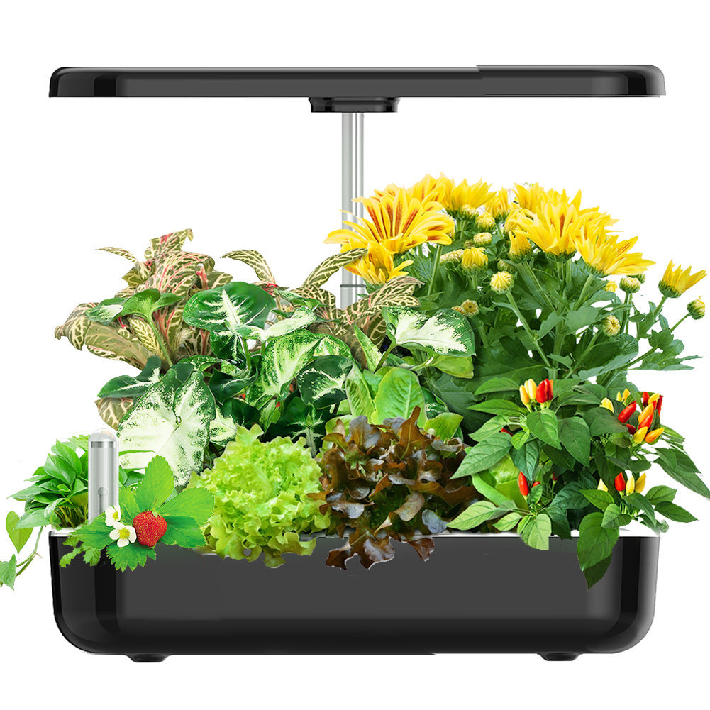 Hydroponic Smart Plant Pot